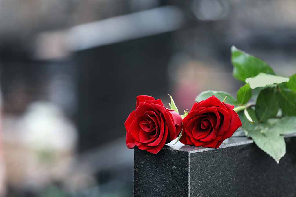 1615218823 featured image Two red roses on a black tombstone.