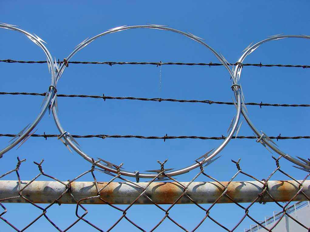 55541293 Barbed wire and metal fencing against blue sky