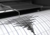 Earthquake Panic GRIPS State— Millions Flee Buildings! Seismograph needle recording earthquake activity on paper.