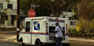 USPS mail carrier at truck near stop sign.