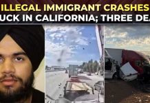 Another Illegal Alien Truck Driver KILLS 4 in Fatal Crash