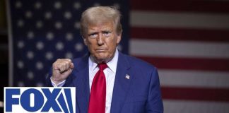 Reality Check - U.S Jobs Report STUNS Media