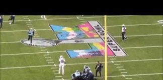 Rookie Absolutely DESTROYS Streaker During Super Bowl