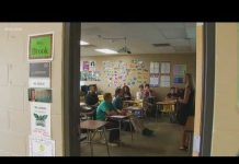 Schools TEACHING Anti-ICE Rebellion Guides