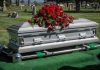 Silver casket with red roses in a cemetery.
