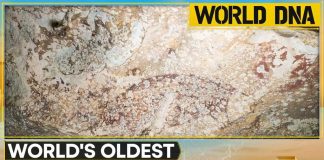 68,000 Year-Old Handprint DESTROYS Everything We Knew