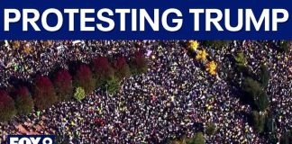 Anti-Trump Concert Announced – 100,000 ATTENDING! Anti-Trump Concert Announced - 100,000 ATTENDING