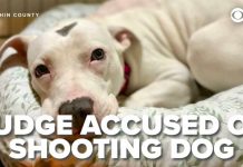 Judge SHOOTS Puppy — State Probe Launched