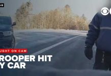 Trooper CRUSHED in Highway Nightmare