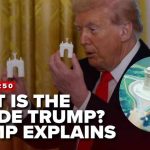 Arc de Trump Plan LEAKED—Nobody Saw This! Arc de Trump Plan LEAKED—Nobody Saw This