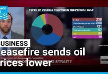 Oil Price PLUMMETS After Trump Does This