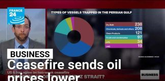 Oil Price PLUMMETS After Trump Does This! Oil Price PLUMMETS After Trump Does This