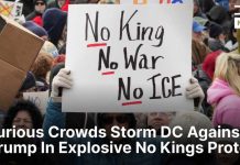 Protestors ARRESTED - Chaos At Correspondents Dinner