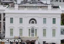 What Are They Building Under Trump's Ballroom