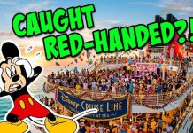 Disney Crew BUSTED - Disturbing Discovery Onboard