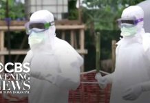 Ebola outbreak declared a global health emergency by WHO