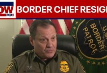 Border Patrol chief: It doesn't get more 'ABSURD' than this