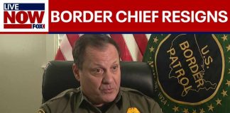Border Patrol chief: It doesn't get more 'ABSURD' than this