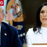 Trump APPOINTS Shock Gabbard Successor! Trump APPOINTS Shock Gabbard Successor!