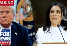 Trump APPOINTS Shock Gabbard Successor!