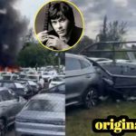 Singer Oliver tree death | Singer Oliver tree killed in Helicopter accident | Oliver tree accident