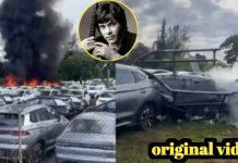 Singer Oliver tree death | Singer Oliver tree killed in Helicopter accident | Oliver tree accident