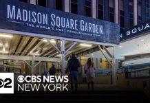 Goose concertgoer falls to death at Madison Square Garden, NYPD says