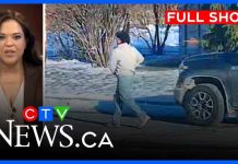 Trial views video in Peter Clark hit-and-run death | CTV News Ottawa at 11:30 for June 27