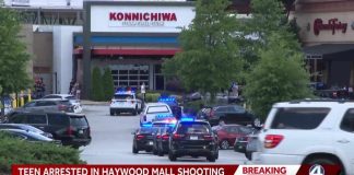 Teen Mob Mauls Cops – Vicious ATTACK Teen arrested after Haywood Mall shooting, officers report