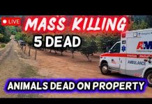 🔴 BREAKING: 5 People KILLED on Rural Oregon Property | Animals Dead All Over