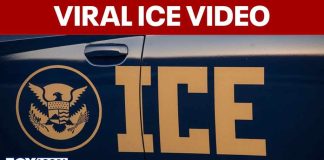 ICE Agent Holds Gun to Womans Face Viral video shows ICE agent pointing gun at driver during Falls Church encounter