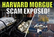 Donated Bodies Stolen At Harvard University; $53 Million Payout Exposed! What Exactly Happened?