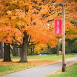 University Dean ARRESTED In Upskirt Sting Operation Autumn trees along a campus pathway with red banners on poles