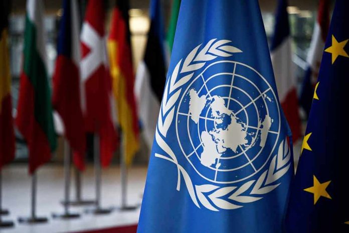 United Nations flag among international flags