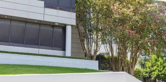 Modern office building with landscaped lawn and flowering trees