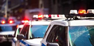 police cars with flashing lights on a city street
