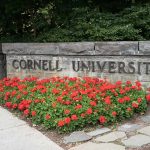 Cornell Rape Story Has Officially Entered Suspicious Territory Cornell University stone sign with red flowers