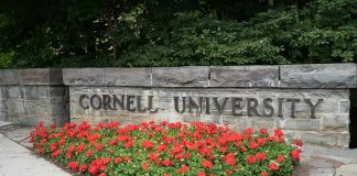 Cornell Rape Story Has Officially Entered Suspicious Territory Cornell University stone sign with red flowers
