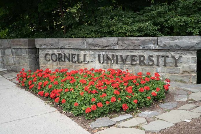 Cornell University stone sign with red flowers