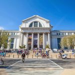 Neoclassical museum building with columns and busy entrance