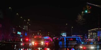 Nighttime police scene with flashing lights on a wet city street