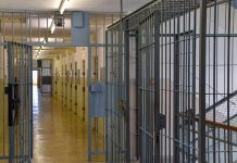 Prison corridor with barred doors