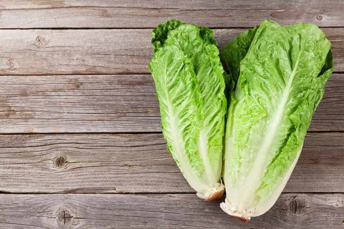 Romaine lettuce hearts on rustic wooden table