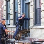 House Call Erupts – Officer’s AMBUSHED Police officers with a K9 at an apartment entrance