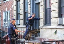 Police officers with a K9 at an apartment entrance