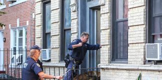 House Call Erupts – Officer’s AMBUSHED Police officers with a K9 at an apartment entrance