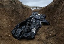 Body bags in a mass grave trench