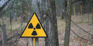 Trump REVIVES Forgotten Nuclear Bomb Testing Program radiation warning sign in a wooded area