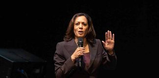 Kamala Harris's Evolving Stance on Socialism