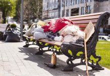 Person sleeping on park bench